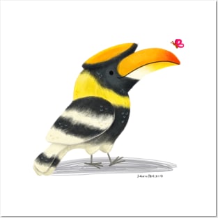 Greater Hornbill bird with a butterfly Posters and Art